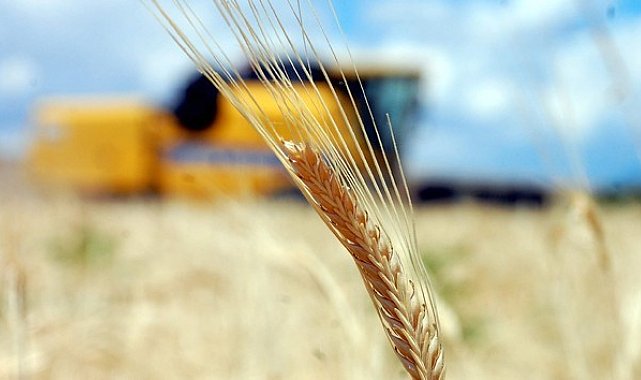 Tarım-GFE yıllık yüzde 28,92 arttı