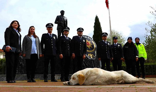Taşova'da sokak köpeği törende polislerin yanında uyudu