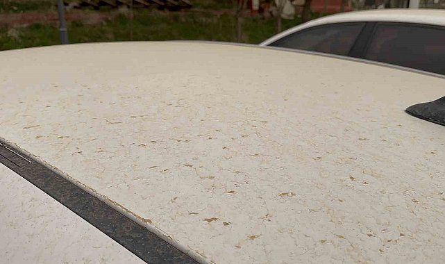 Tatvan'da araçlar çamurla kaplandı