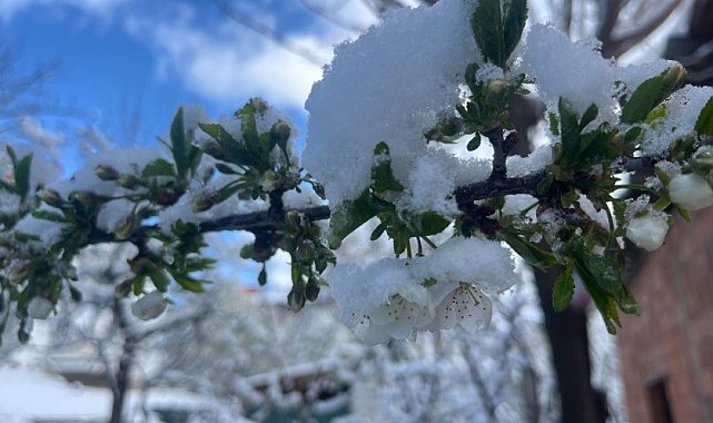 Tavşanlı güne karla uyandı