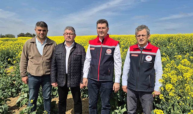 Tekirdağ İl Tarım Müdürü: "Arılar ölürse, hayat da durur"