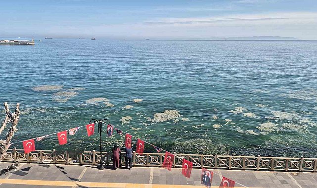Tekirdağ kıyılarında müsilaj benzeri beyaz tabaka tedirgin etti