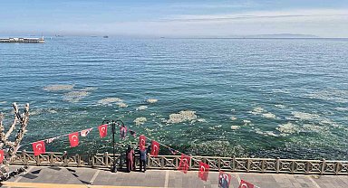 Tekirdağ kıyılarında müsilaj benzeri beyaz tabaka tedirgin etti