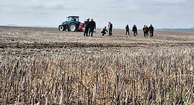 Tekirdağ'da anıza ekim dönemi: Anıza ekim Türkiye'ye örnek olacak