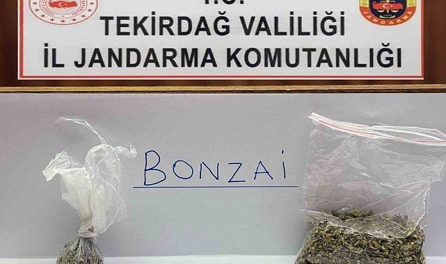 Tekirdağ'da jandarma yol ve mahalle denetimlerinde bonzai ele geçirdi