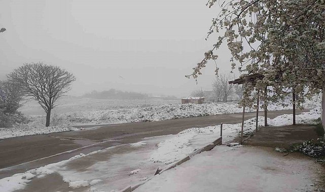 Tekirdağ'da kar yağışı