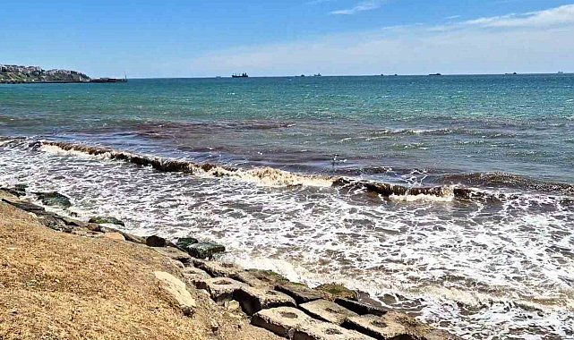 Tekirdağ'da poyraz sonrası deniz yüzeyi kızıl yosunla kaplandı