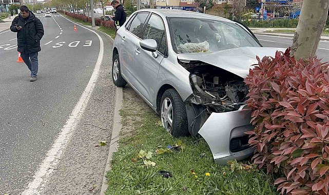 Tekirdağ'da refüje çıkan otomobil ağaca çarptı: 3 yaralı