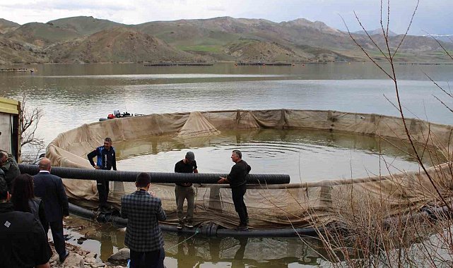 Tercan Baraj Gölüne milyonlarca yavru balık bırakılacak