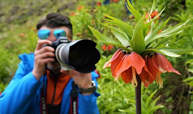Ters laleleri görmek için 500 kilometre yol geldiler ama dokunamadılar