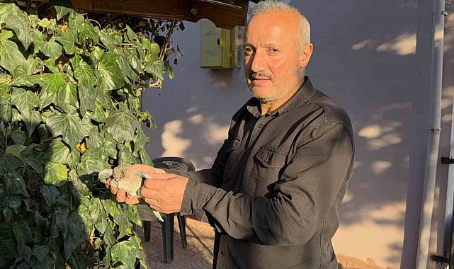 Tokat'ta evin çatısına yıldırım düştü, yuvadaki kuşlar telef oldu