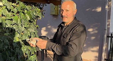 Tokat'ta evin çatısına yıldırım düştü, yuvadaki kuşlar telef oldu