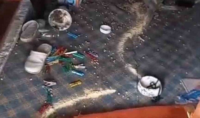 Trabzonlu vatandaştan köy evine giren ayıya komik sitem