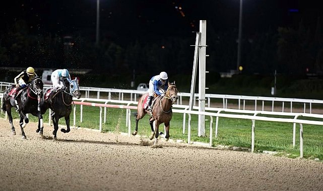 TSYD İzmir Şubesi Koşusu 26. kez düzenlenecek