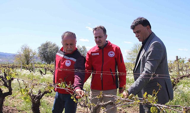 Turgutlu'da yetkililer sahada don vuran arazileri inceledi