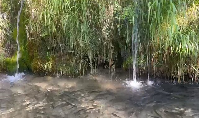 Türkiye'nin 23. doğa harikası Güney Şelalesi ziyaretçilerini bekliyor