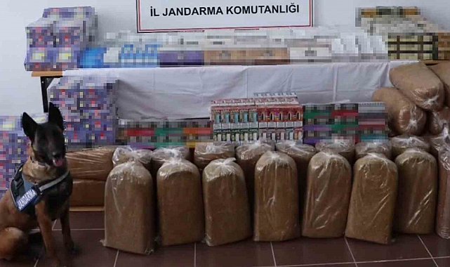 Tütün arama köpeğiyle tırda yapılan aramada çok sayıda kaçak ürün ele geçirdi