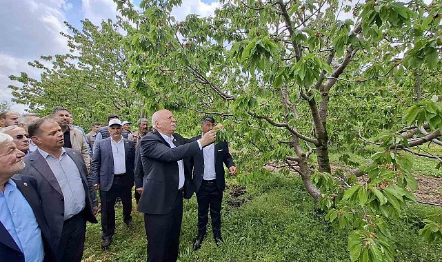 TZOB Başkanı Bayraktar, Akşehir'de zirai dondan etkilenen bahçeleri inceledi