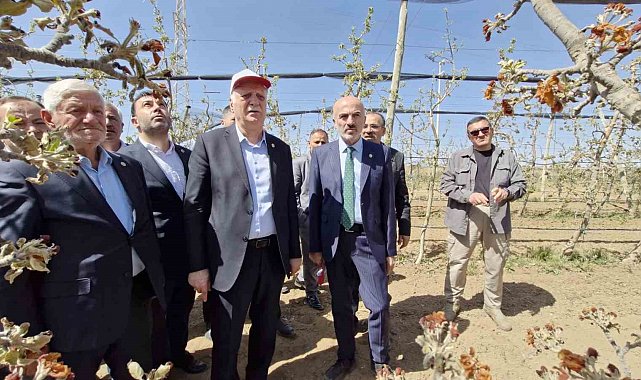 TZOB Başkanı Bayraktar: "Zirai don ile büyük bir felaket yaşandı"