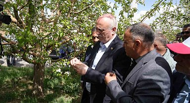 TZOB Genel Başkanı Bayraktar, Niğde'de zirai don zararı gören bahçeleri inceledi