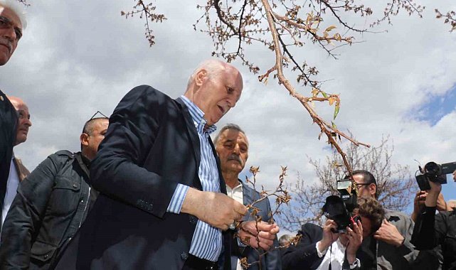 TZOB Genel Başkanı Bayraktar: "Kayısıda yüzde yüzlere varan zarar tespit ettik"