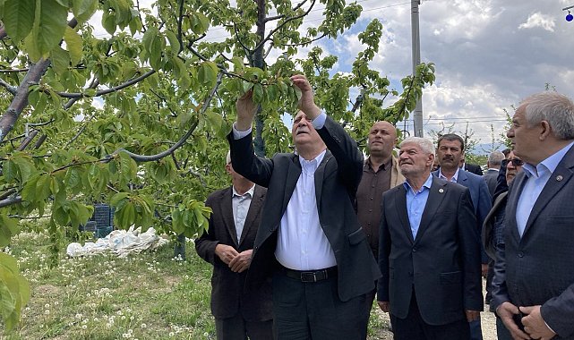 TZOB Genel Başkanı Şemsi Bayraktar: "3 gün süren don olayı maalesef ürünlerimizi ve üreticimizi perişan etti"