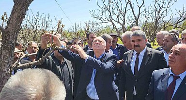 TZOB Genel Başkanı Şemsi Bayraktar zirai don vuran bahçeleri inceledi