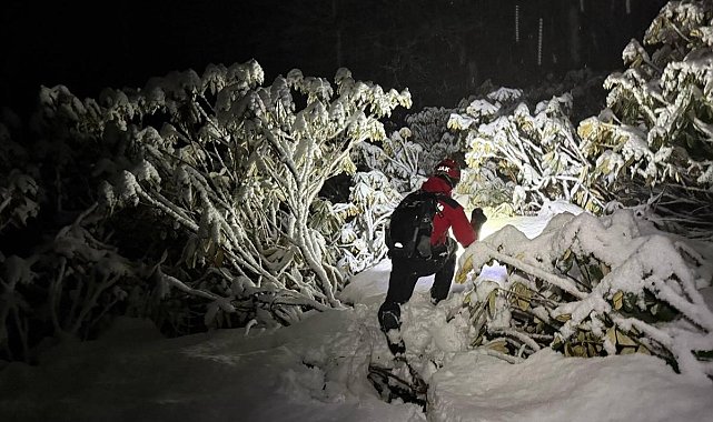 Ülkeye kaçak yollarla giren 4 şahıs ormanlık alanda donmak üzereyken bulundu
