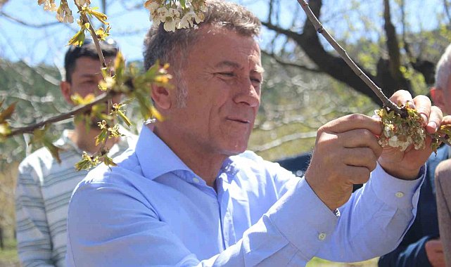 Uludağ'ın güneyi dondu