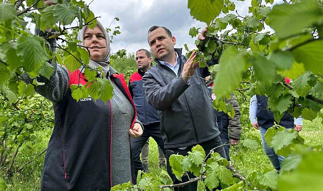 Üreticinin kayıpları tespit ediliyor