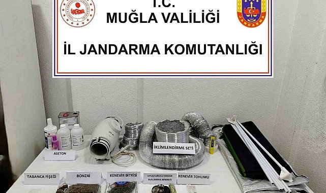 Uyuşturucu operasyonunda 1 gözaltı