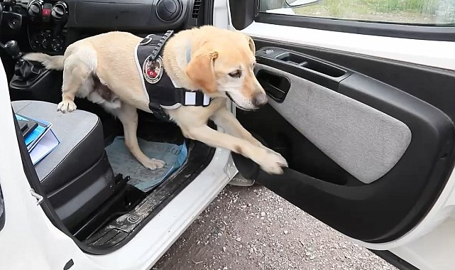 Uyuşturucu tacirleri film sahnelerini aratmayan operasyonla yakalandı