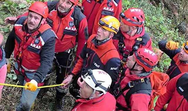 Üzerine ağaç devrildi, hayatını kaybetti