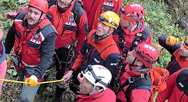 Üzerine ağaç devrildi, hayatını kaybetti