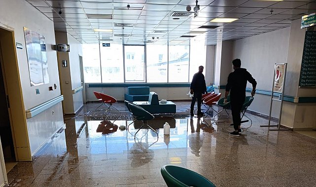 Van Ağız ve Diş Sağlığı Merkezi'nde temizlik çalışması yapıldı