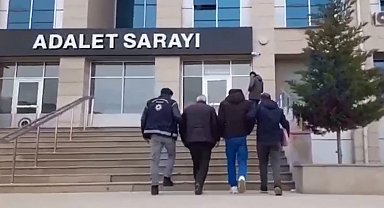 Van'da 10 organizatör yakalandı