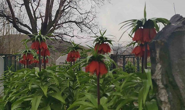 Van'da iki mevsim bir arada