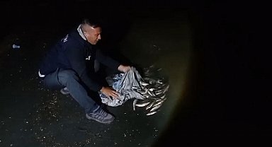 Van'da inci kefali göçü başladı: 60 kilo balığa el konuldu