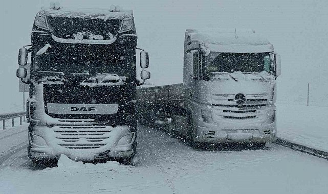 Van'da kar yağışı