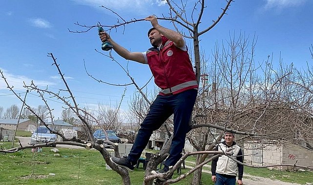 Van'da meyve ağaçları için budama eğitimi