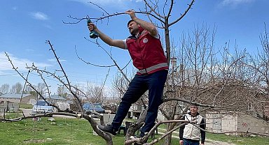 Van'da meyve ağaçları için budama eğitimi
