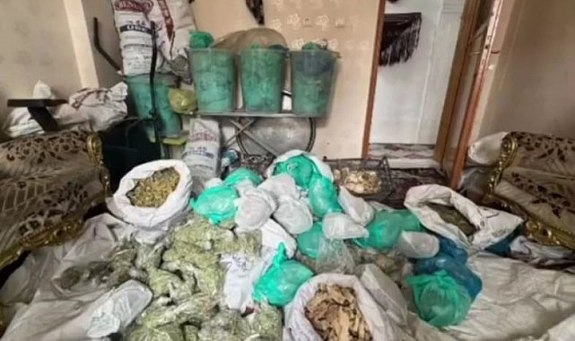 Van'da sahte belgelerle tedavi uygulayan şahıslara operasyon