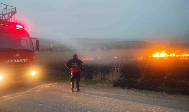 Van'da sazlık alanda yangın