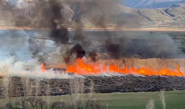 Van'da sazlıklar tehlikede
