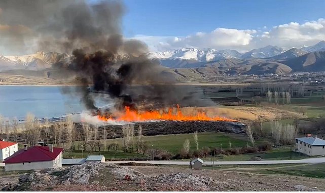 Van'ın Göründü deltasında yangın