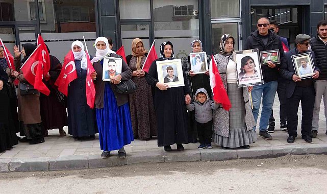 Vanlı annelerin evlat nöbeti 100'üncü haftasında