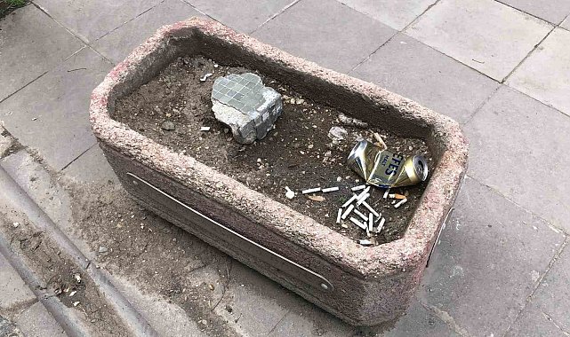 Vatandaşlar ceza ödememek için çözümü saksıda buldu