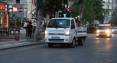 Vektörle mücadelede önlemler arttırıldı