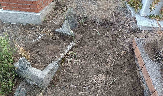 Yaban domuzları mezarlara zarar verdi, mahalleli tel örgü istedi