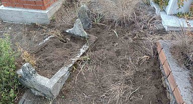 Yaban domuzları mezarlara zarar verdi, mahalleli tel örgü istedi